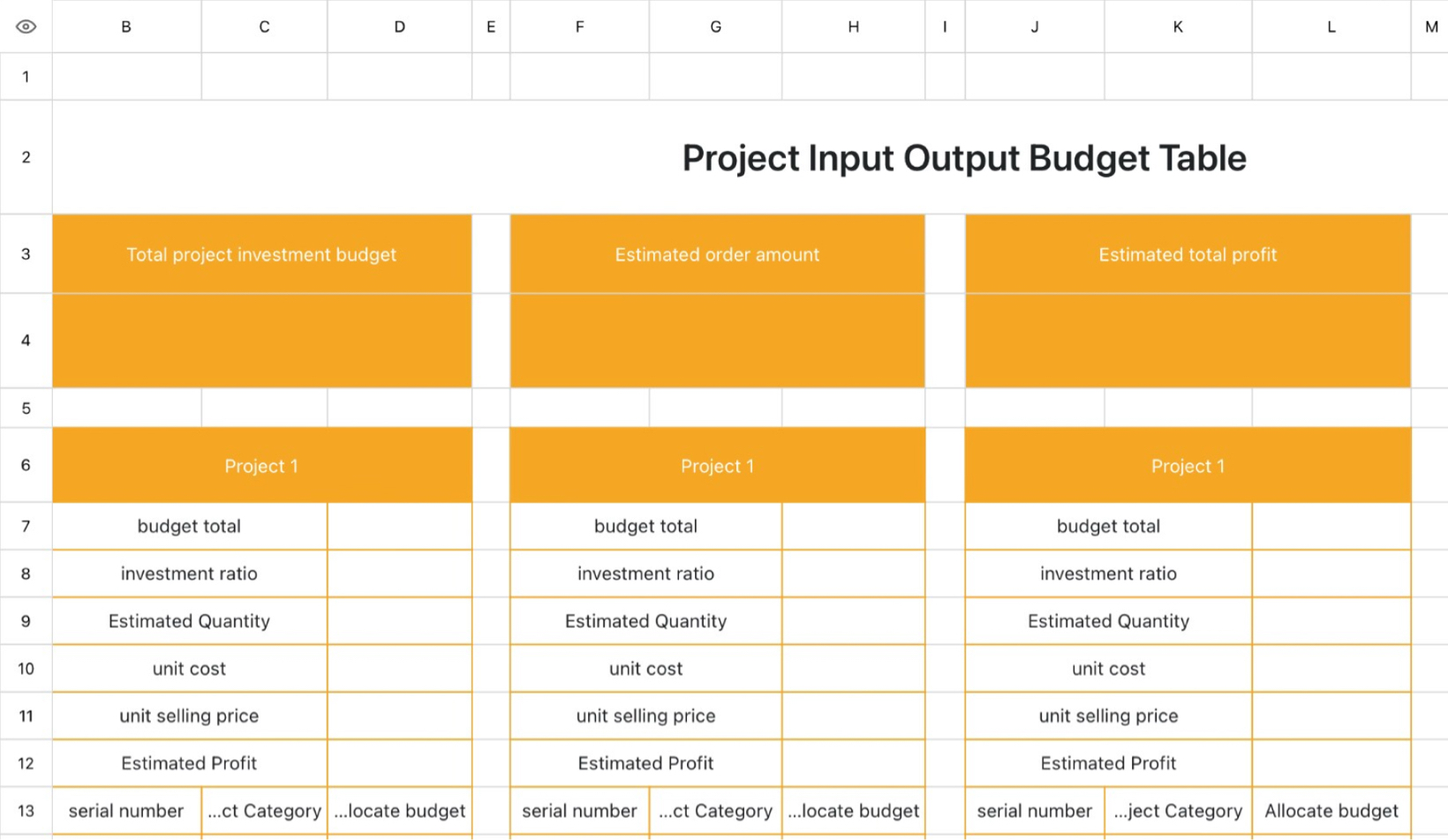 Project Input Output Budget Table